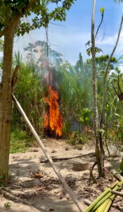 Peru Amazonas Iquitos