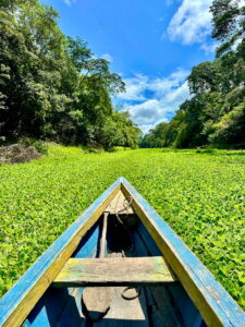 Peru Amazonas Iquitos