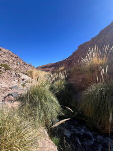 Atacama Wüste